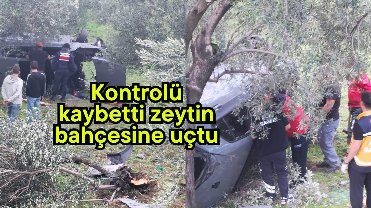 Kontrolü kaybetti zeytin bahçesine uçtu