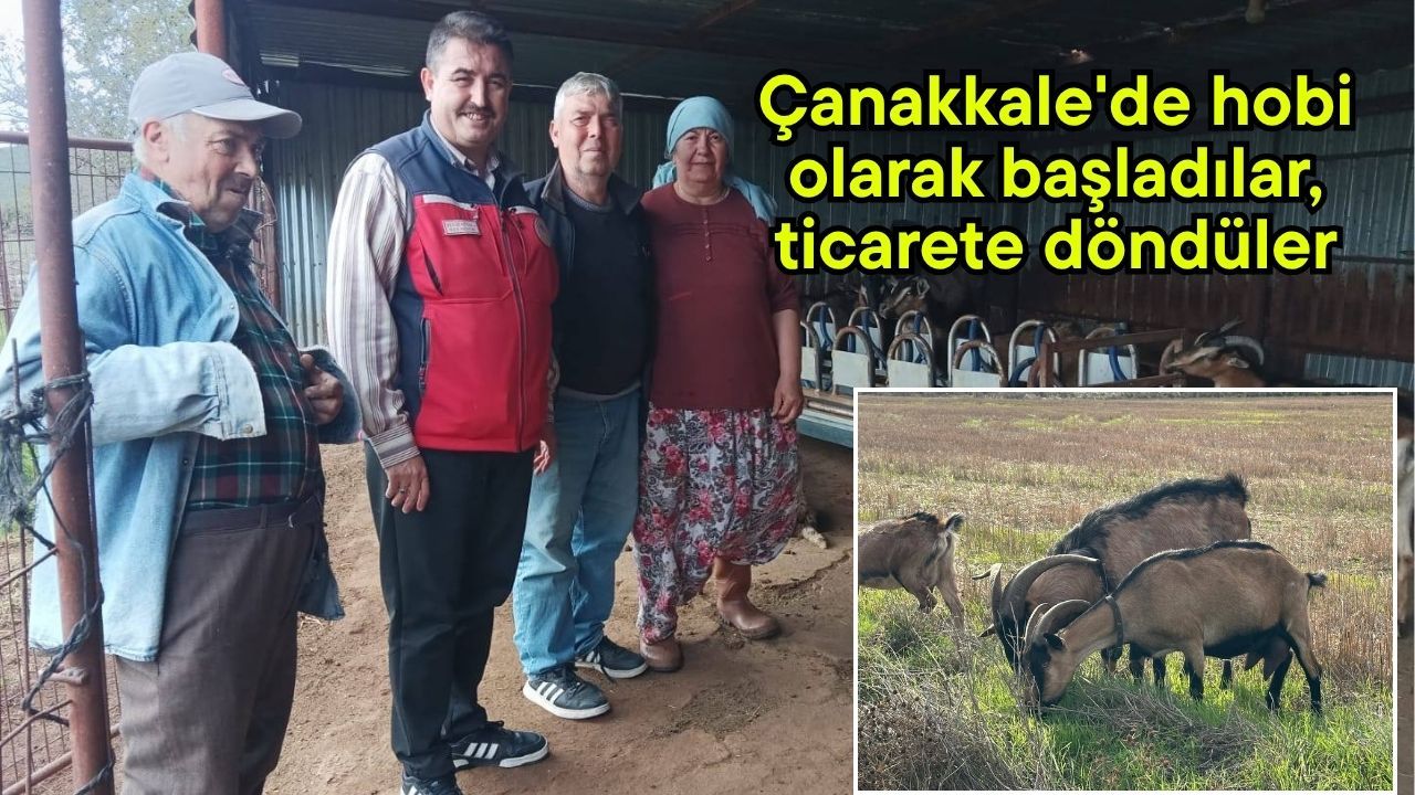 Çanakkale'de hobi olarak başladılar, ticarete döndüler