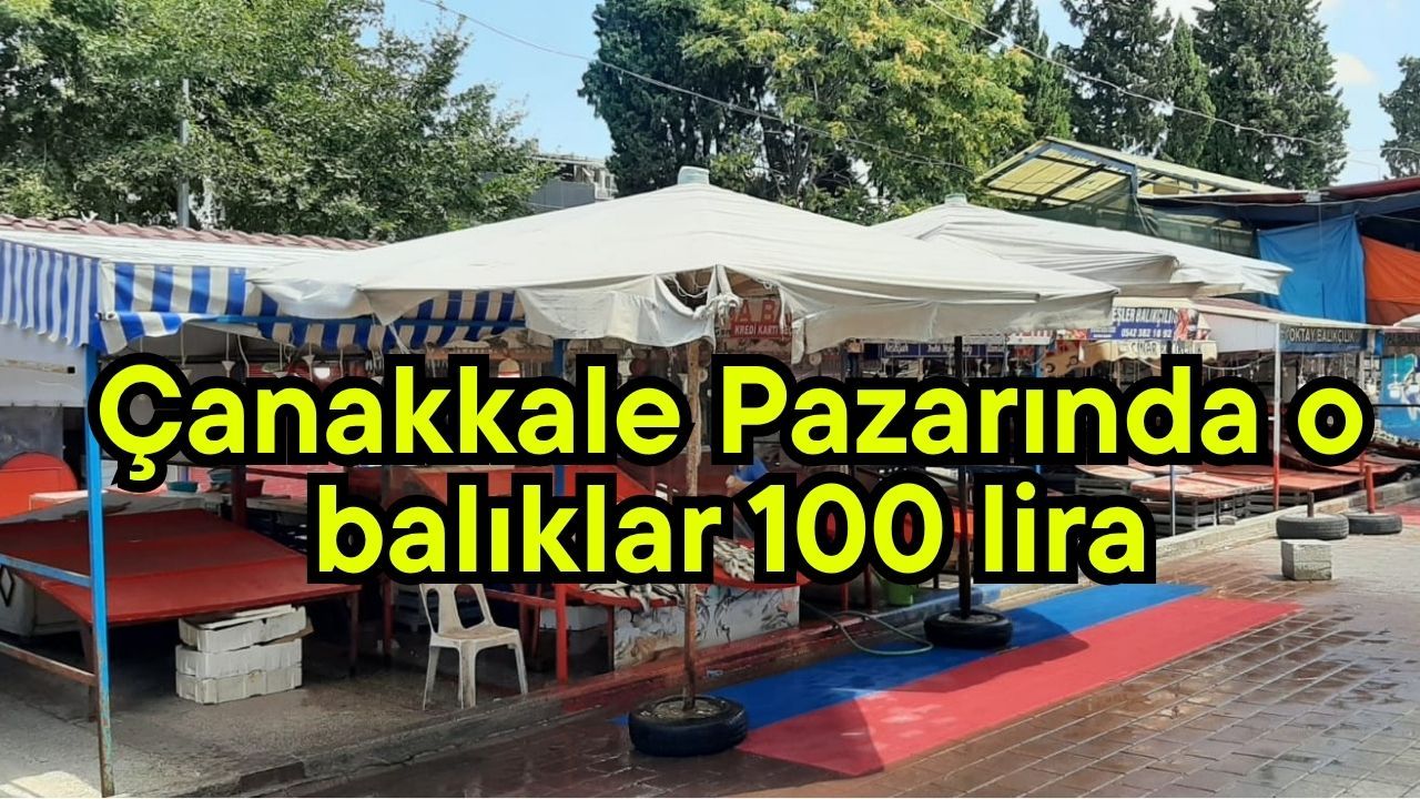Çanakkale Pazarında o balıklar 100 lira