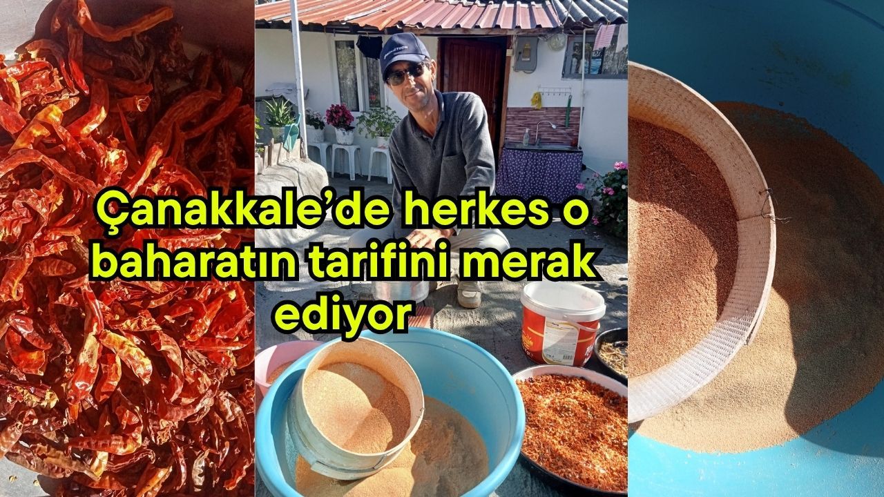Çanakkale’de herkes o baharatın tarifini merak ediyor