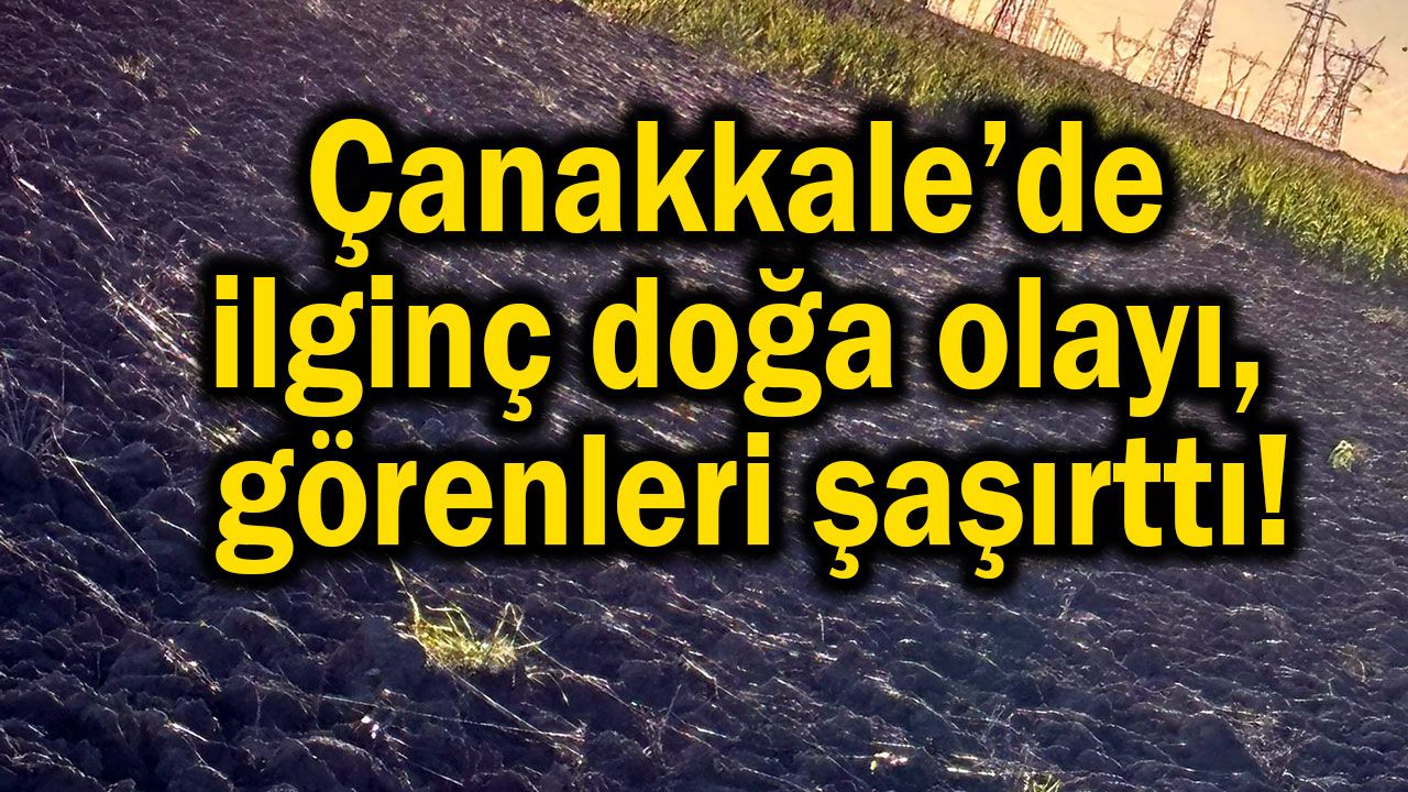 Çanakkale’de ilginç doğa olayı, görenleri şaşırttı!