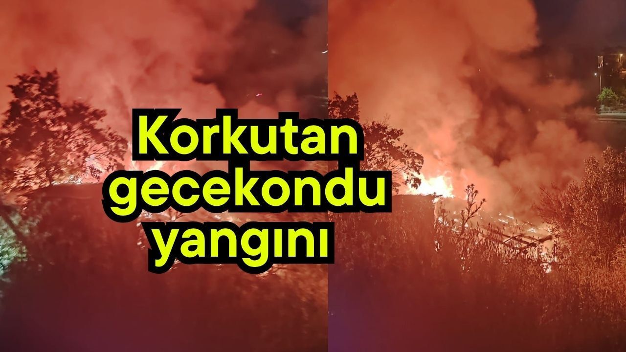 Korkutan gecekondu yangını (Video)