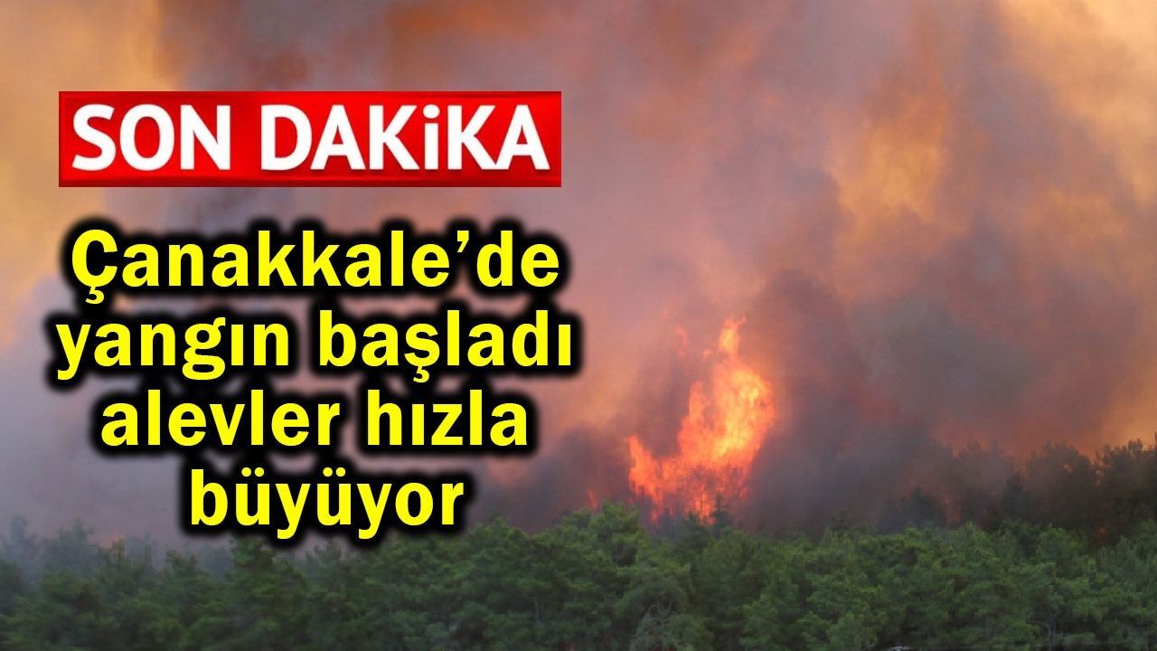 Çanakkale’de yangın başladı, alevler hızla büyüyor