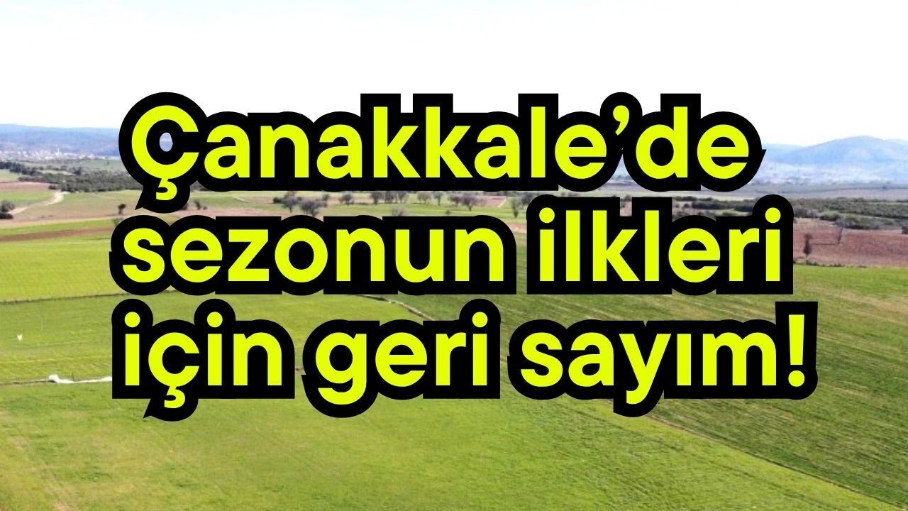 Çanakkale’de sezonun ilkleri için geri sayım!
