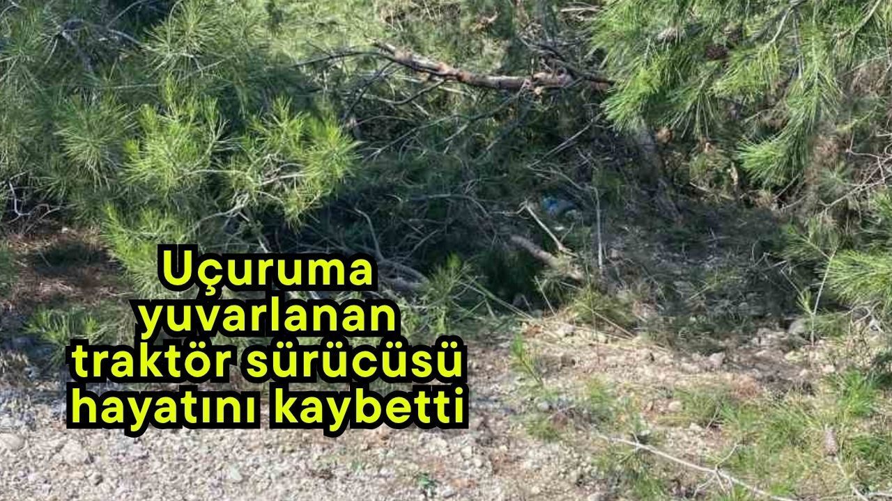 Uçuruma yuvarlanan traktör sürücüsü hayatını kaybetti