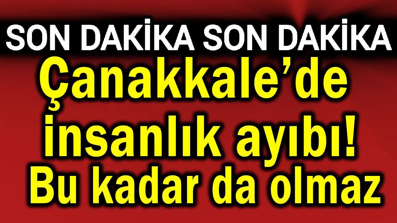 Çanakkale’de insanlık ayıbı! Bu kadar da olmaz