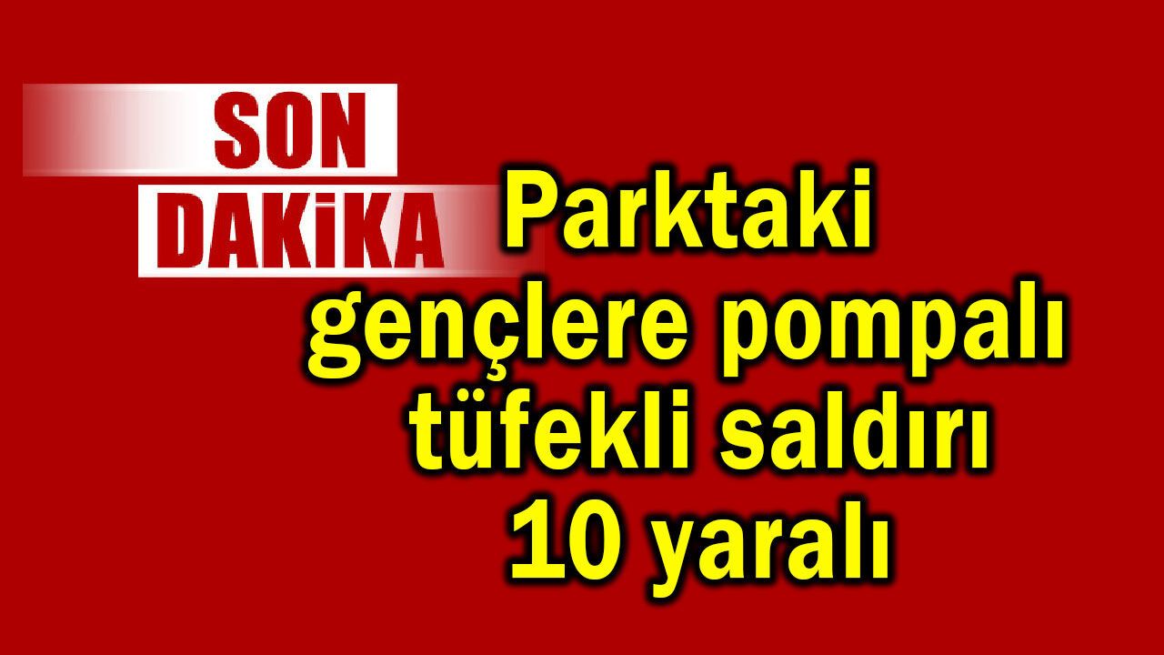 Parktaki gençlere pompalı tüfekli saldırı