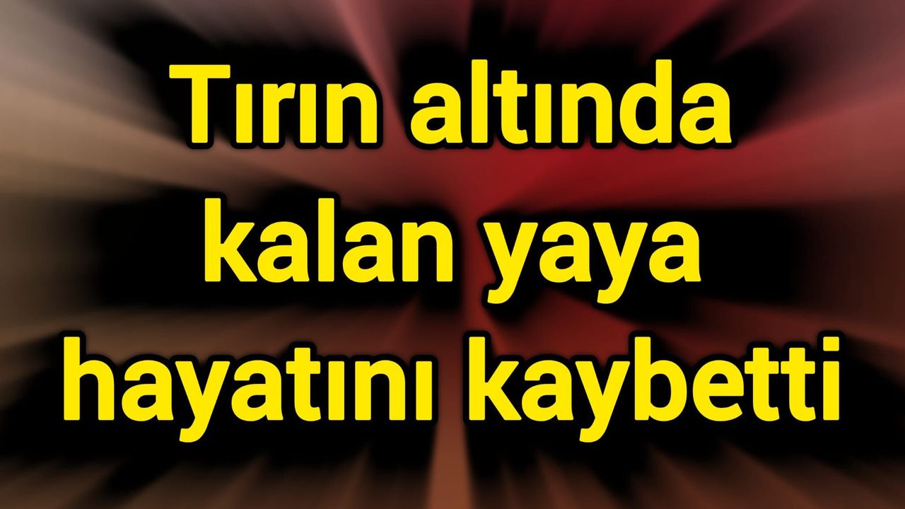 Tırın altında kalan yaya hayatını kaybetti