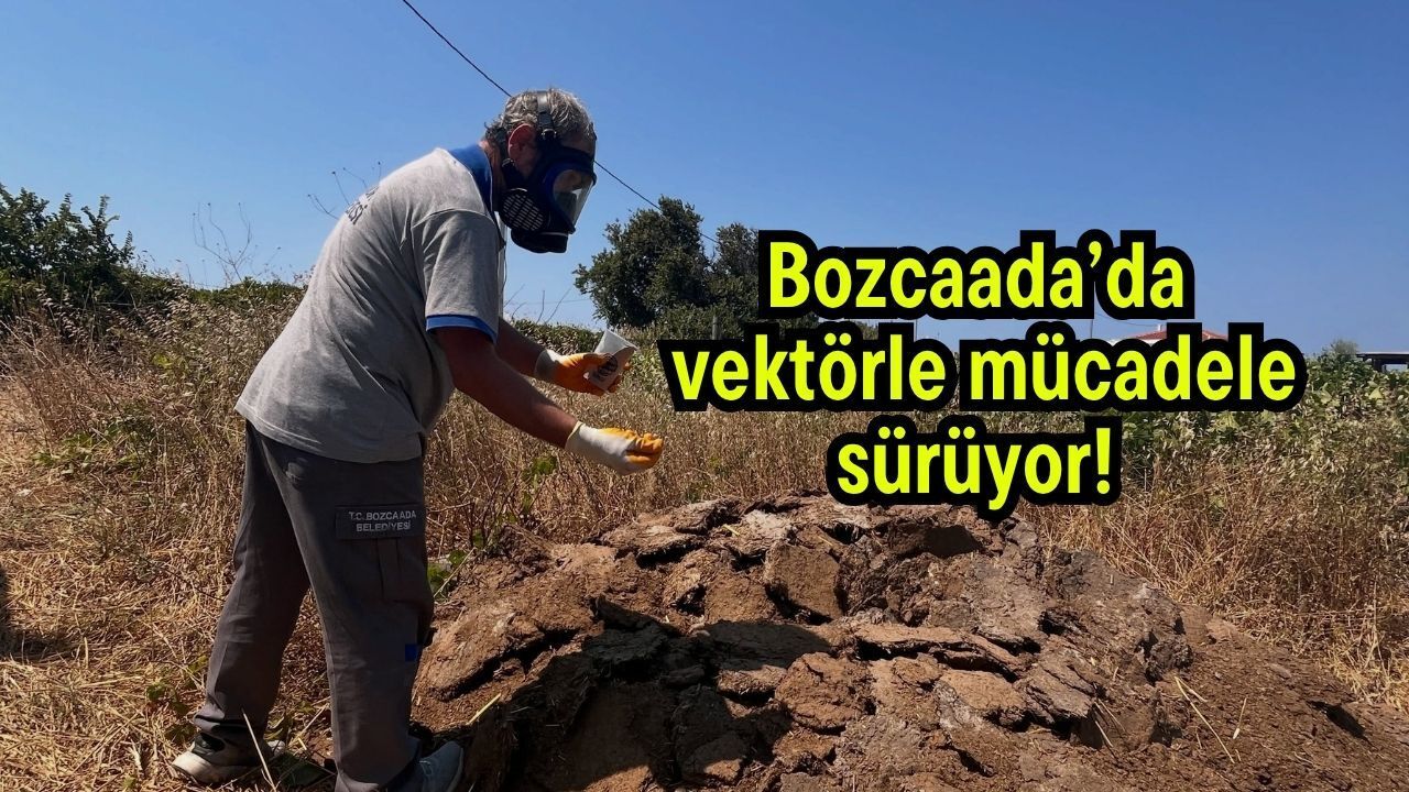 Bozcaada’da vektörle mücadele sürüyor!