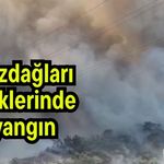 Kazdağları eteklerinde yangın (Video)