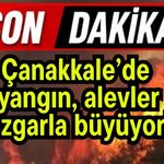 Çanakkale’de yangın, alevler rüzgarla büyüyor!