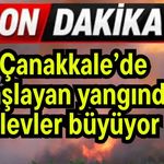 Çanakkale’de başlayan yangında alevler büyüyor (Video)