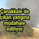 Çanakkale’de çıkan yangına müdahale ediliyor (Video)