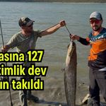 Oltasına 127 santimlik dev yayın takıldı (Video)