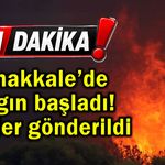 Çanakkale’de yangın başladı! Ekipler gönderildi
