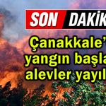 Çanakkale’de yangın başladı, alevler yayılıyor