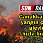 Çanakkale’de yangın çıktı, alevler hızla büyüdü