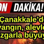 Çanakkale'de yangın! Alevler rüzgarla büyüyor...