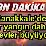 Çanakkale’de bir yangın daha, alevler büyüyor