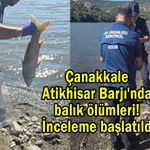 Çanakkale Atikhisar Barajı'nda balık ölümleri!