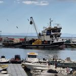 Marmara Denizi ulaşımına Poyraz engeli (Video)