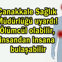 Sağlık