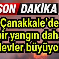 Asayiş
