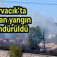 Asayiş
