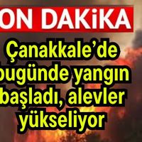 Asayiş