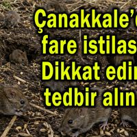 Gündem
