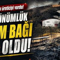 Asayiş