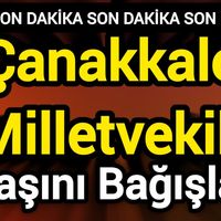 Siyaset