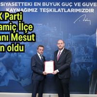 Siyaset