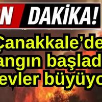 Asayiş