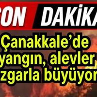 Asayiş