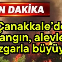 Asayiş