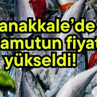 Gündem