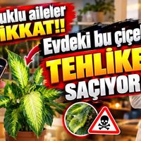 Sağlık