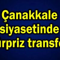 Siyaset