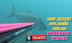 DEV AKYAYI BÖYLE AVLADI (VİDEO)