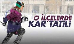 Gelibolu'da da okullar tatil edildi