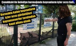 Çanakkale’de hayvan barınağı ve Kedi Köyü’nde hayvanlara kötü bakılıyor iddiası hayvanseverleri ayağa kaldırdı (VİDEO)