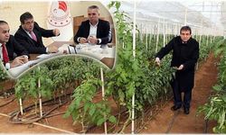 Jeotermal ısıtmalı seracılık dönemi