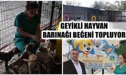 Geyikli hayvan barınağı beğeni topluyor