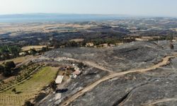 Çanakkale’deki büyük yangında üreticinin zararını açıkladılar