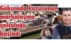 Gökçeada kuzusunun markalaşma yolculuğu başladı