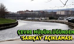 İl Çevre Müdüründen ‘Sarıçay’ Açıklaması!