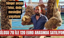  Dünya pazarına kilosu 70 ile 120 euro arasında satılıyor