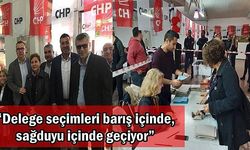 “Delege seçimleri barış içinde, sağduyu içinde geçiyor”