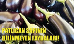 Patlıcan sapının bilinmeyen faydaları!